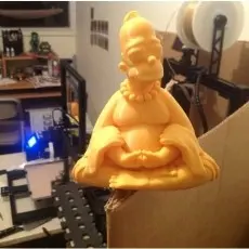 homer buddha