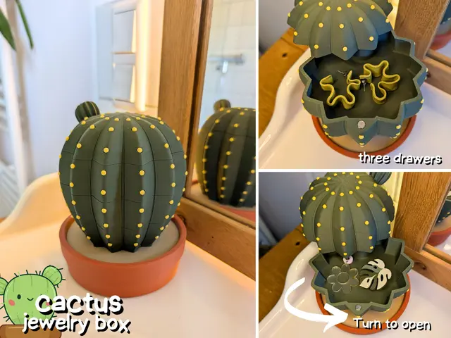 cactus  jewelry box (AMS & No AMS)
