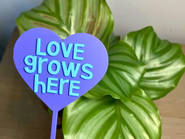 “Love Grows Here” Plant Gift Tag