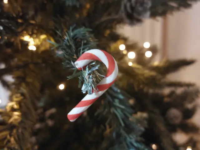 Christmas Candy Cane